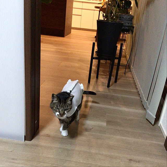 houenさんの部屋