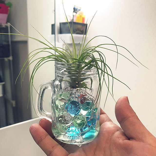 lunlunさんの実例写真