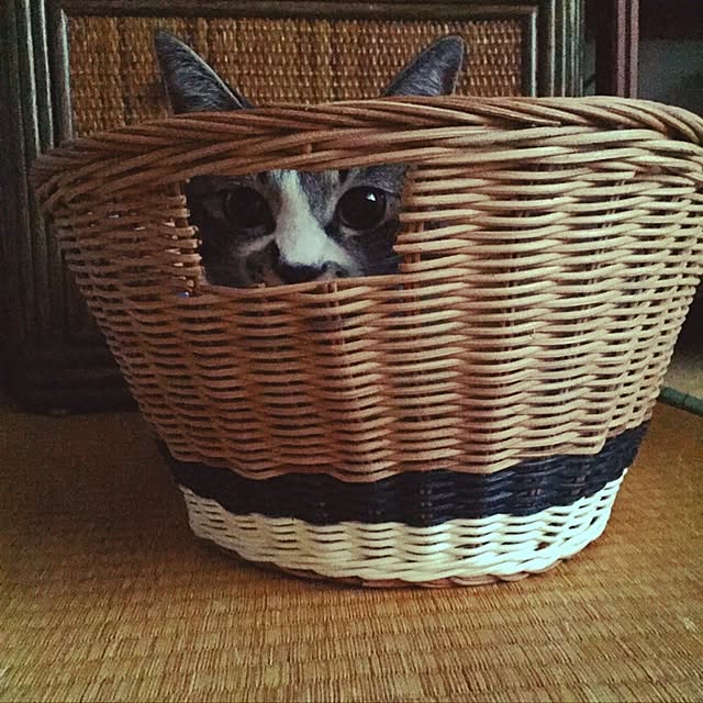 shinoさんの実例写真