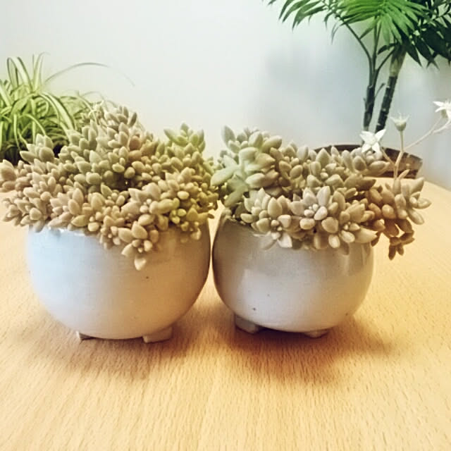 reonさんの実例写真