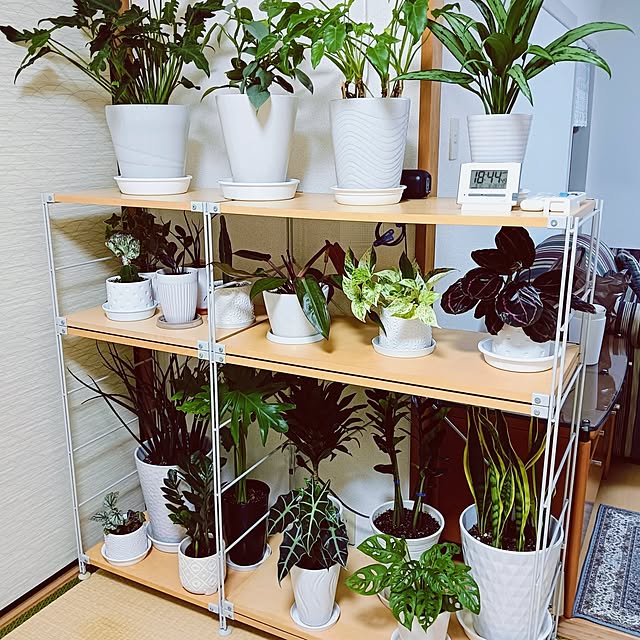 hanachanさんの部屋