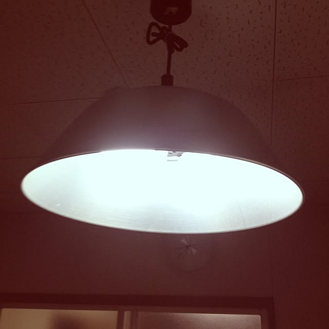 壁/天井のインテリア実例 - 2012-12-01 20:36:59