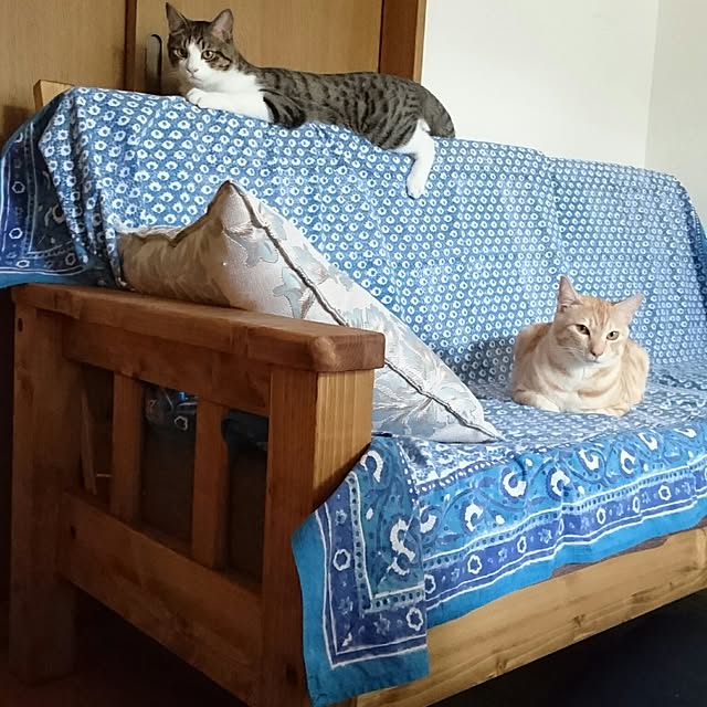 shiiiさんの実例写真