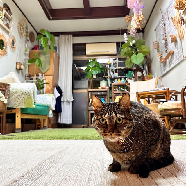 mohhaさんの部屋