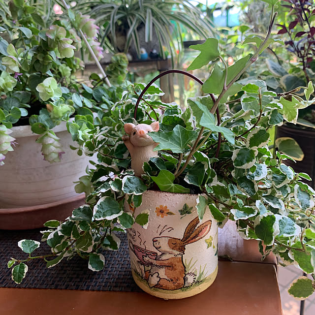 Aqettyさんの部屋