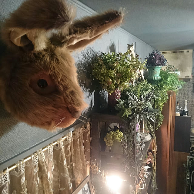 tayuさんの実例写真