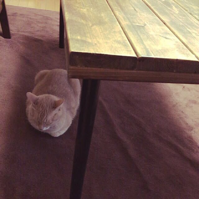 mikan161さんの実例写真