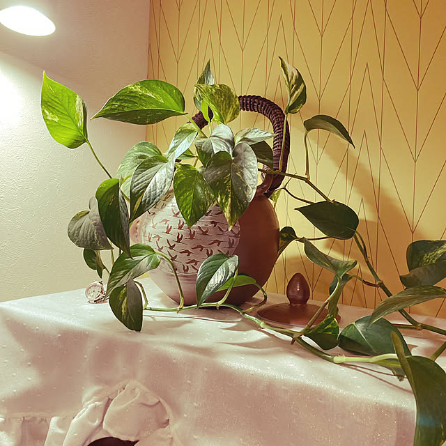 YukikunMonsterさんの実例写真