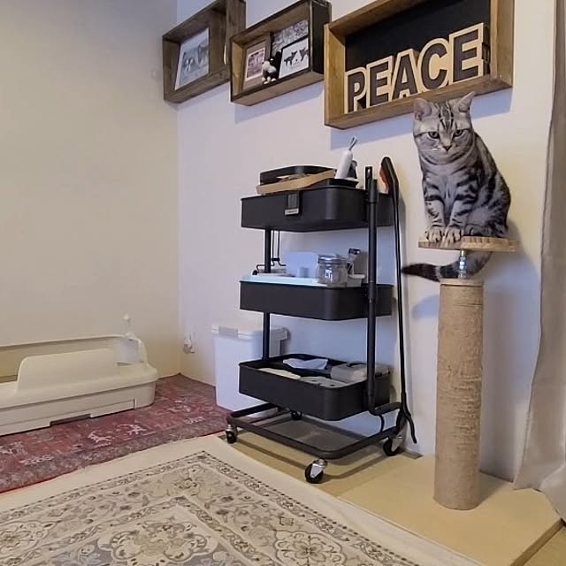lovepeaceさんの部屋