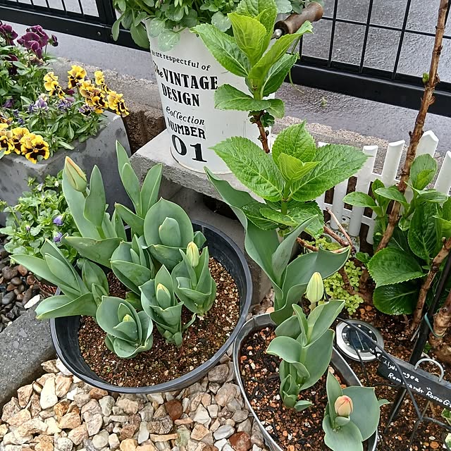 kaanaさんの部屋