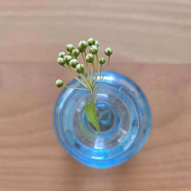 k-houseさんの部屋