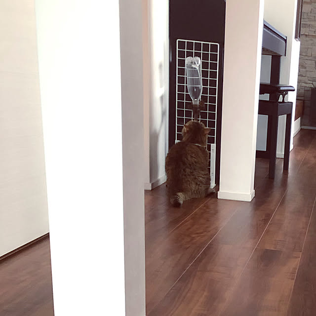 meloさんの実例写真