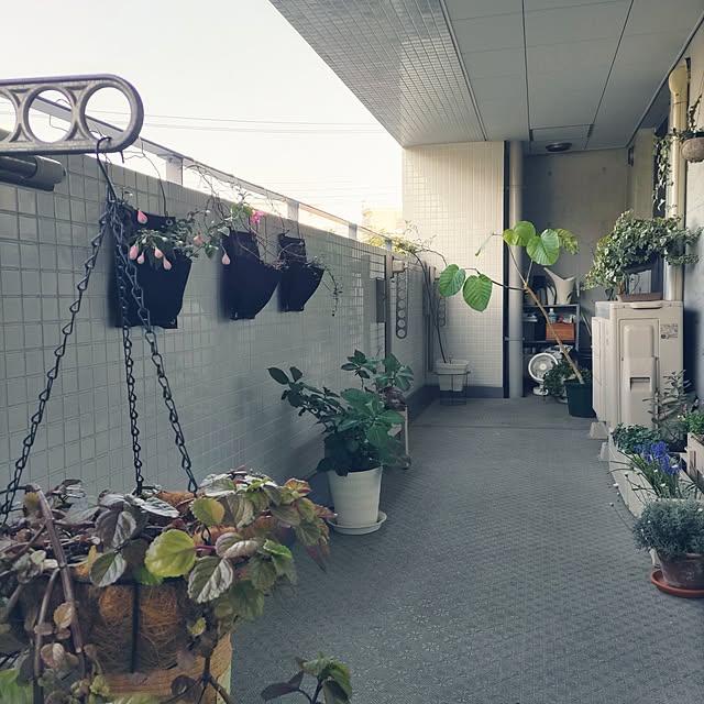 hanacocoさんの実例写真
