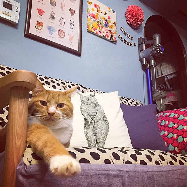 yuccoさんの実例写真