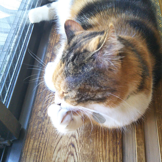 yukieさんの実例写真