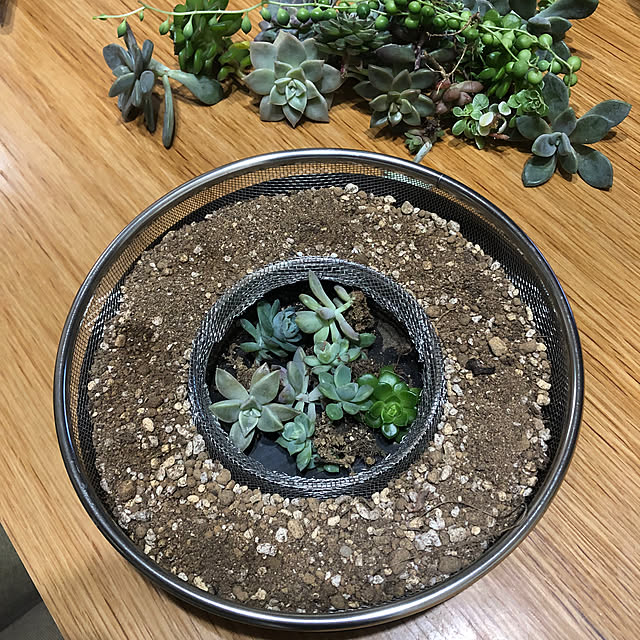 CoffeeHouseさんの部屋