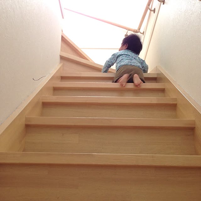 cotocotorinさんの実例写真