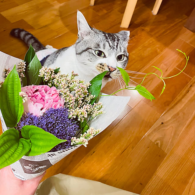 ALPSさんの実例写真