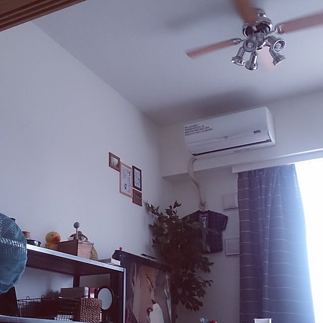 stfcy41さんの実例写真