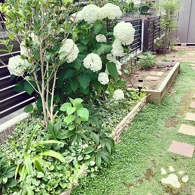 goro_wanさんの実例写真