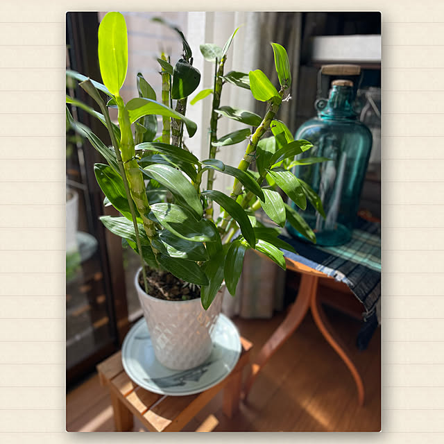 buchiさんの部屋