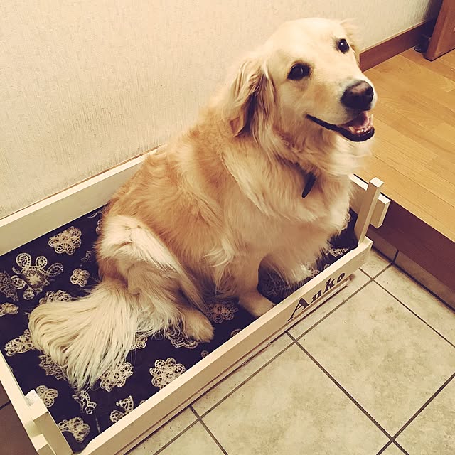 k_la_aさんの実例写真