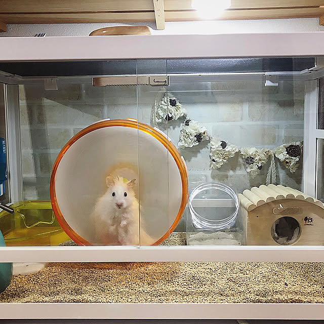 emiさんの実例写真