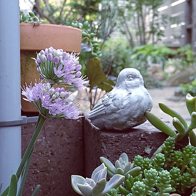 chocoさんの実例写真