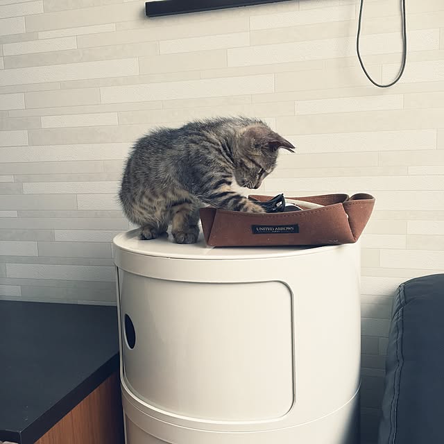 yumiさんの実例写真