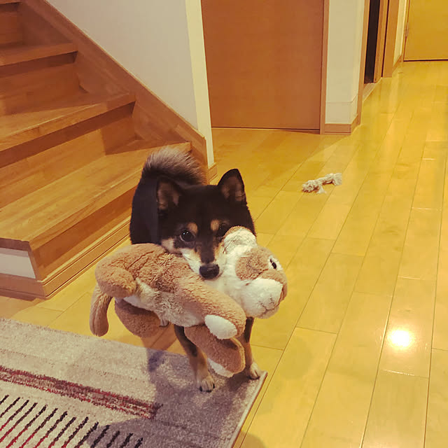 YUKOさんの実例写真
