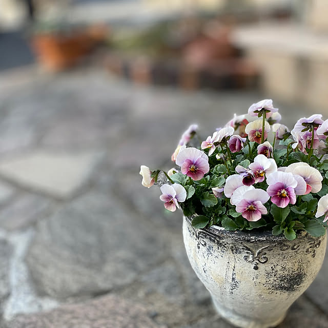 niconさんの実例写真