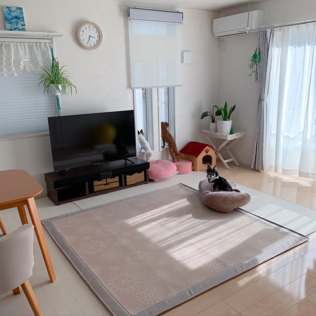 makoさんの実例写真