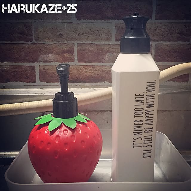 Harukaze_plus_25さんの実例写真