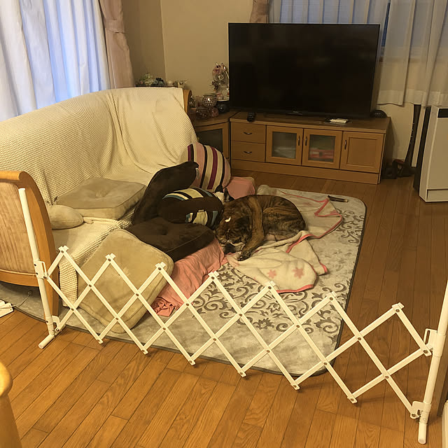 chi_gogaさんの実例写真