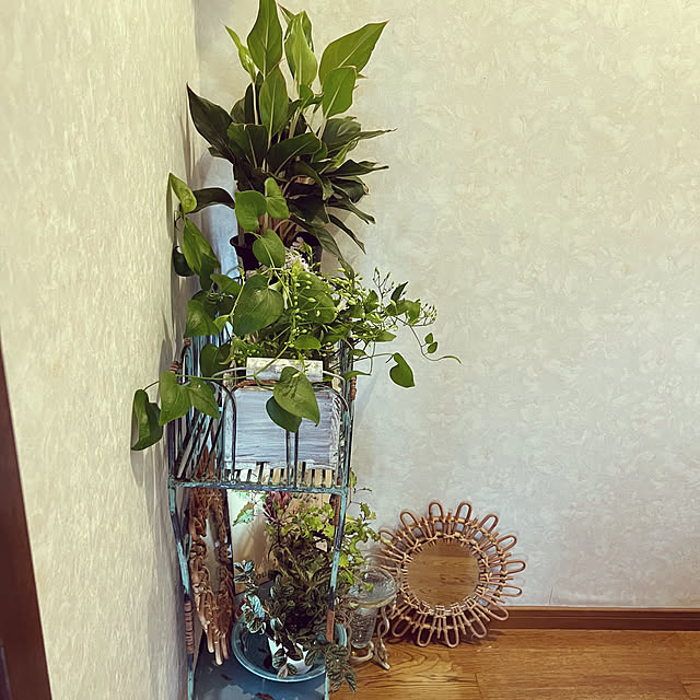 cota2さんの部屋