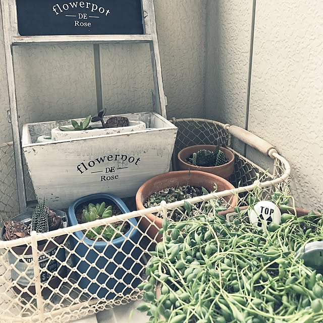 powakyonさんの実例写真