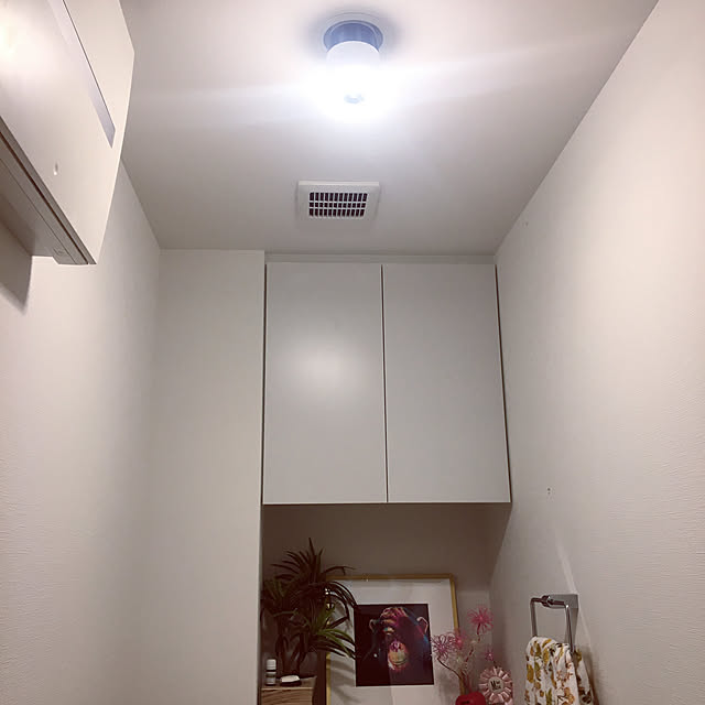 Misaさんの実例写真