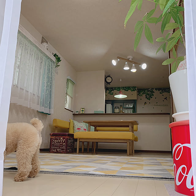 Samさんの実例写真