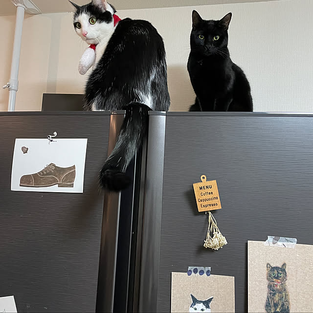 harukaさんの実例写真