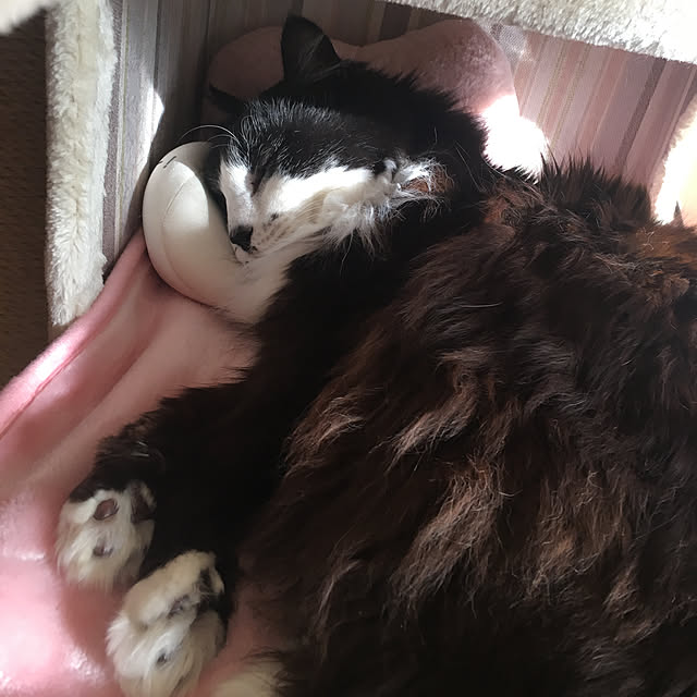 kanaさんの実例写真