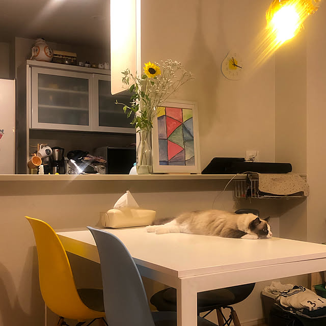 Mさんの実例写真