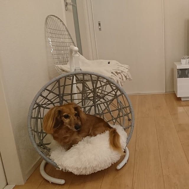 furukumaさんの実例写真