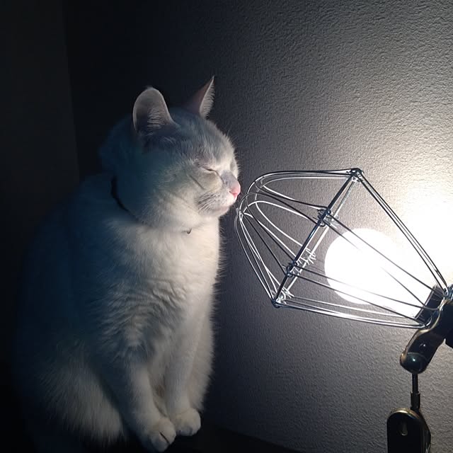 Yukiさんの実例写真