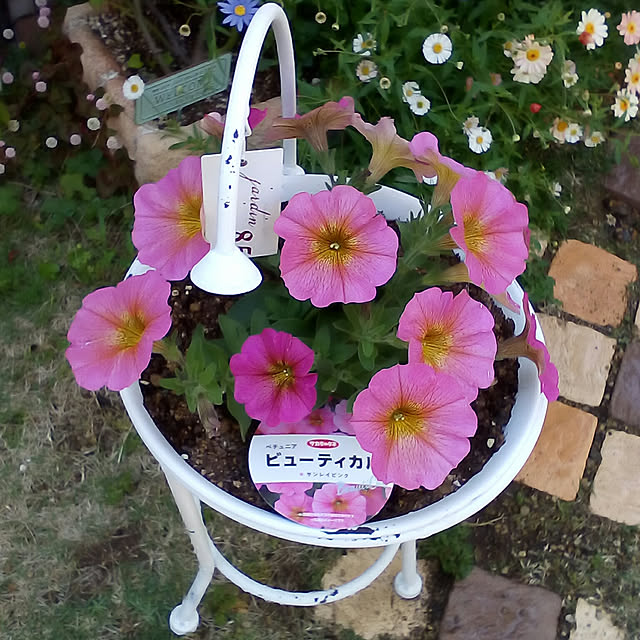 mariagardenさんの実例写真