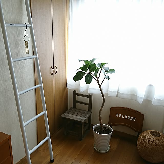 Matsu62さんの実例写真