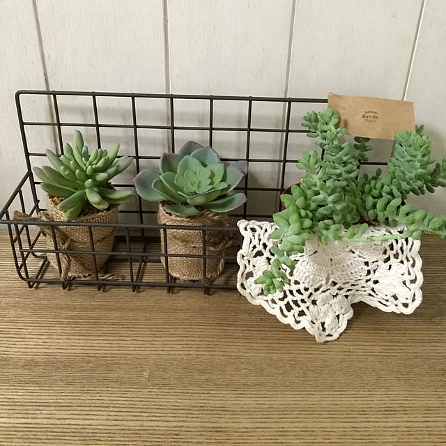 natulove0418さんの実例写真