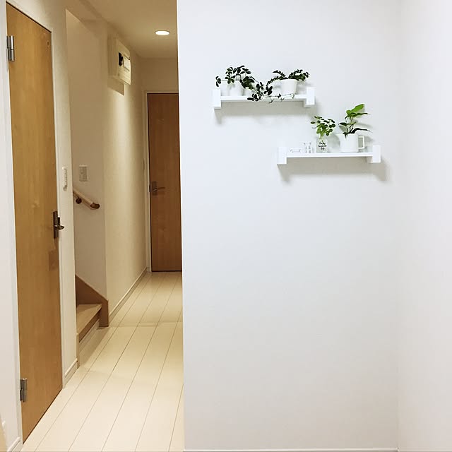 玄関/入り口/100均/観葉植物のインテリア実例 - 2016-10-05 23:26:11