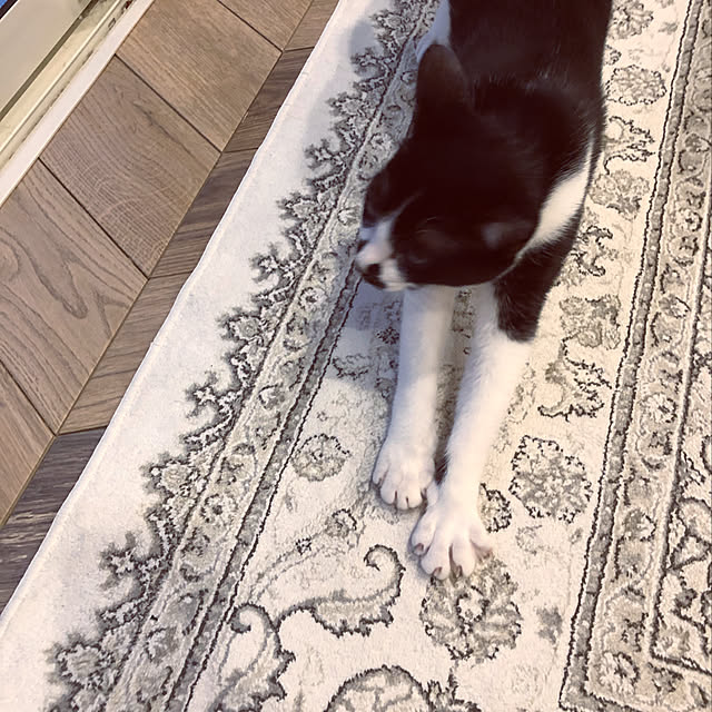 artyさんの実例写真