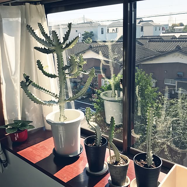 tomotomoさんの実例写真