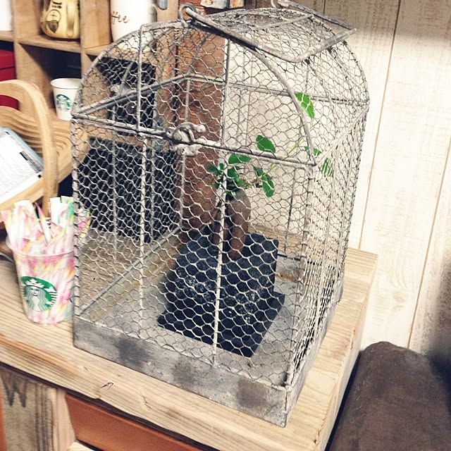 shota26さんの実例写真